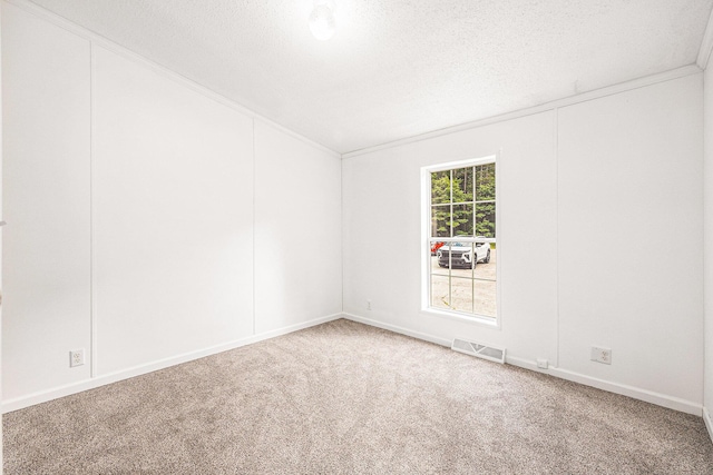 2141 S Parsons Ave, Fremont, MI 49412 - spare room with carpet flooring and a textured ceiling