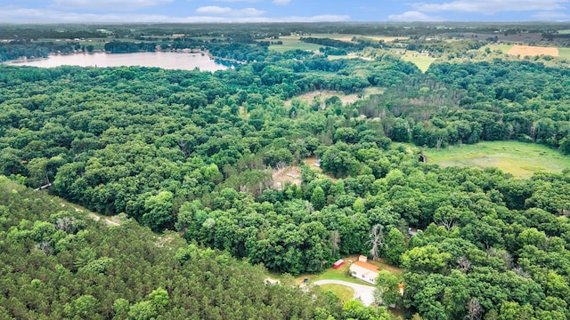 2141 S Parsons Ave, Fremont, MI 49412 - aerial view of property and surrounding area with a large body of water and a forest