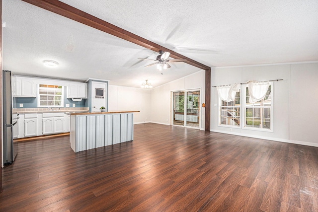 2141 S Parsons Ave, Fremont, MI 49412 - unfurnished living room with dark wood-style flooring, plenty of natural light, ceiling fan, and a textured ceiling