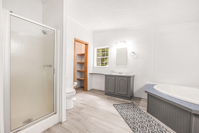 2141 S Parsons Ave, Fremont, MI 49412 - bathroom with a shower stall, vanity, wood finished floors, a textured ceiling, and crown molding