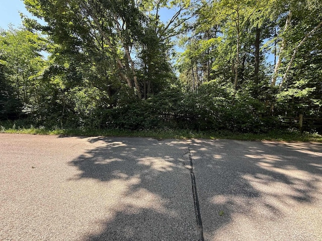 520 W Central Ave, Mackinaw City, MI 49701 - photo 29