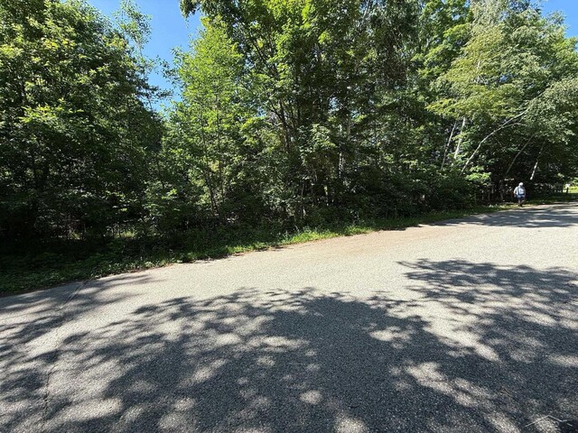 520 W Central Ave, Mackinaw City, MI 49701 - photo 30