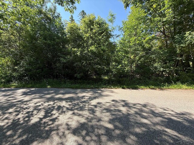 520 W Central Ave, Mackinaw City, MI 49701 - photo 31