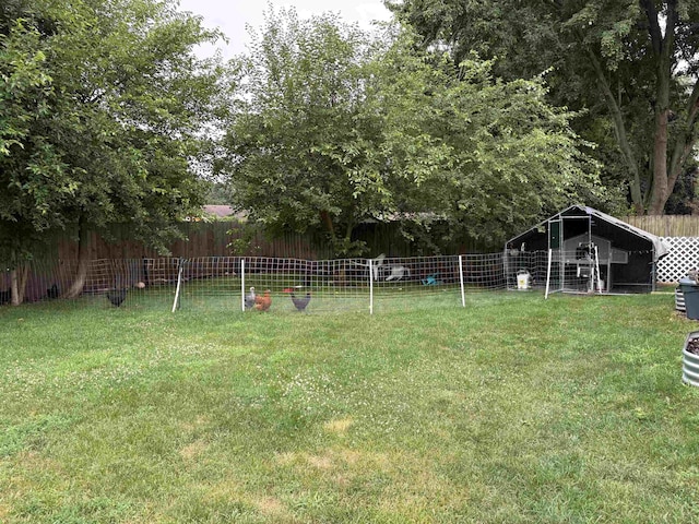 520 James Connis St, Flushing, MI 48433 - photo 9