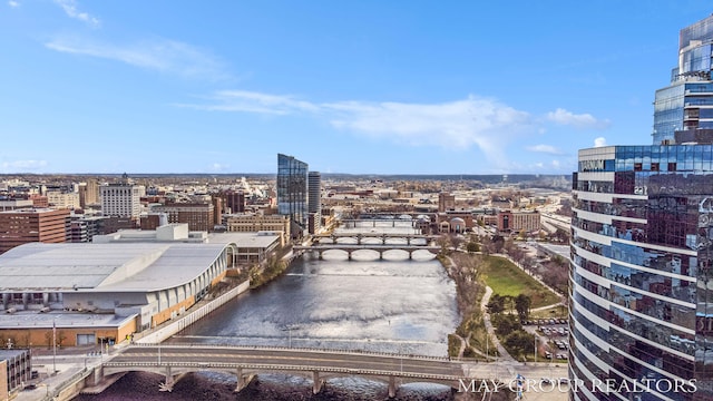 335 Bridge St NW Unit 1503, Grand Rapids, MI 49504 - photo 24