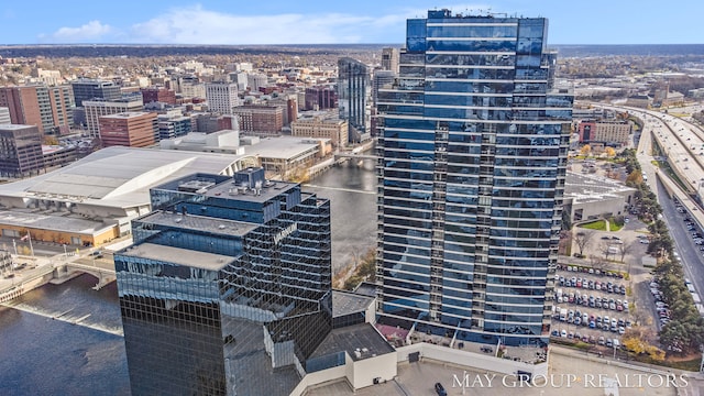 335 Bridge St NW Unit 1503, Grand Rapids, MI 49504 - photo 23