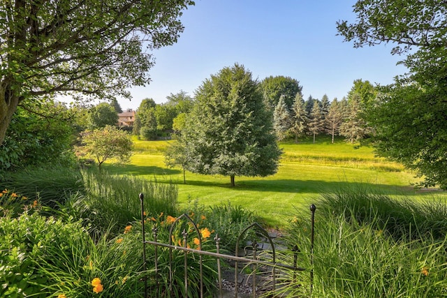 5 Mission Rdg, Frankenmuth, MI 48734 - view of community featuring a yard