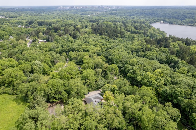 144 Barton N Dr, Ann Arbor, MI 48105 - aerial view of a forest and a nearby body of water