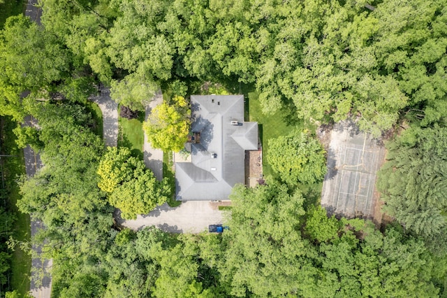 144 Barton N Dr, Ann Arbor, MI 48105 - view from above of property
