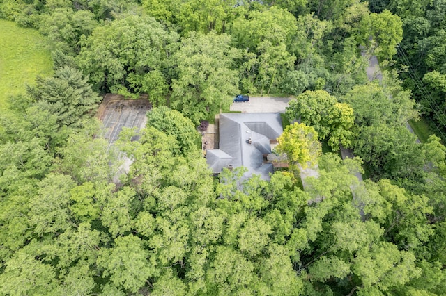 144 Barton N Dr, Ann Arbor, MI 48105 - view of subject property with a forest