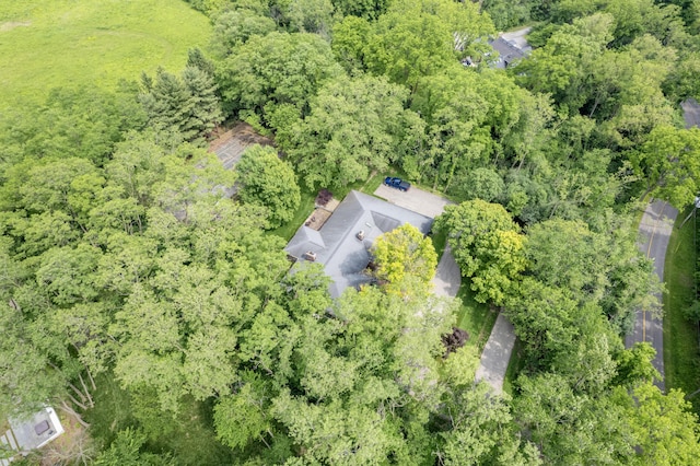 144 Barton N Dr, Ann Arbor, MI 48105 - aerial view of property and surrounding area featuring a forest