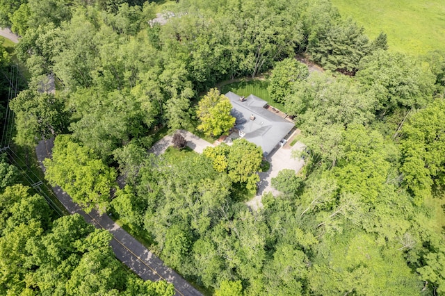 144 Barton N Dr, Ann Arbor, MI 48105 - drone / aerial view of a forest