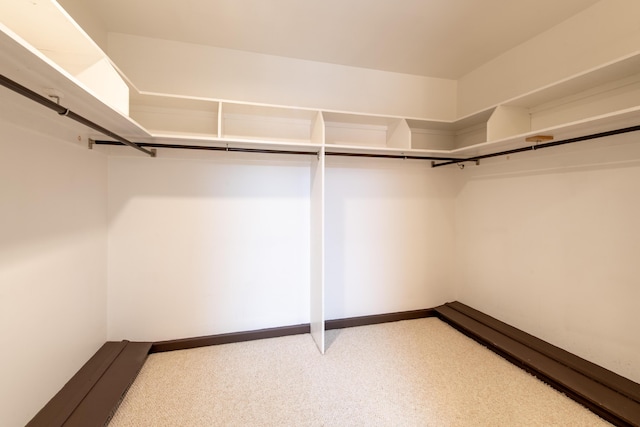 144 Barton N Dr, Ann Arbor, MI 48105 - spacious closet with carpet
