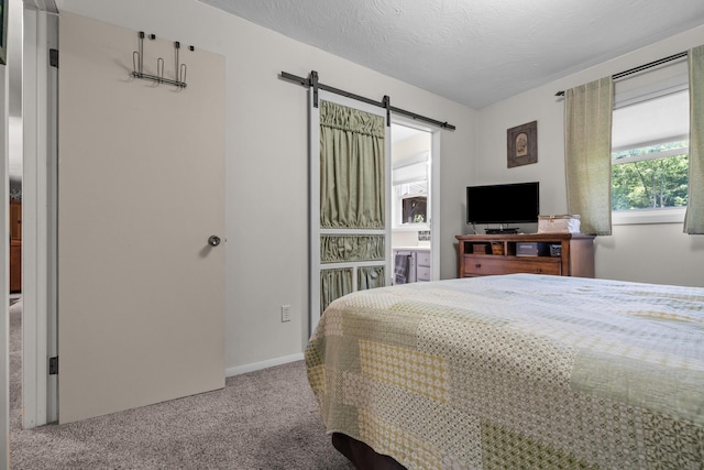 69291 Brush Trl, Niles, MI 49120 - bedroom featuring carpet floors, a barn door, and a textured ceiling