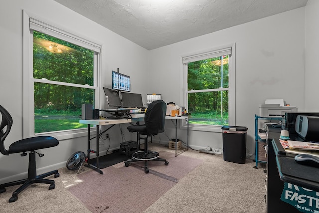 69291 Brush Trl, Niles, MI 49120 - carpeted office with a textured ceiling