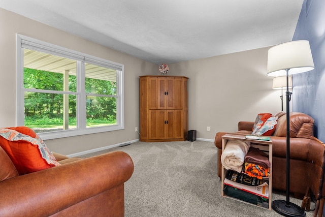 69291 Brush Trl, Niles, MI 49120 - living area featuring light colored carpet and baseboards