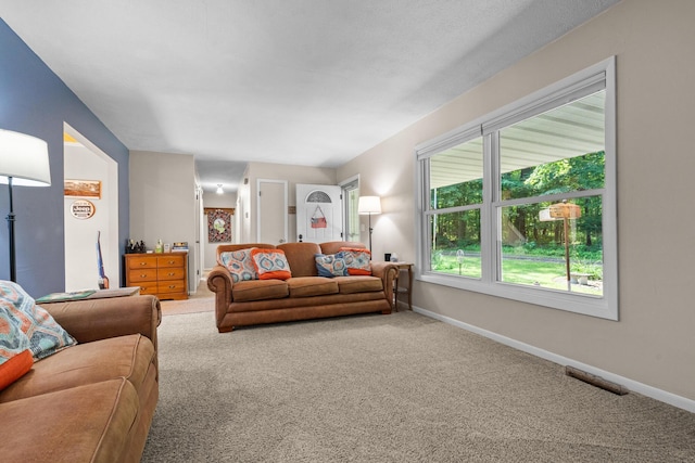 69291 Brush Trl, Niles, MI 49120 - carpeted living area with baseboards