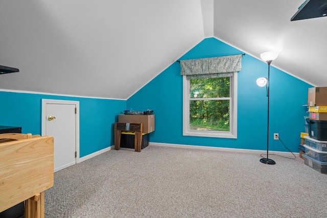 69291 Brush Trl, Niles, MI 49120 - bonus room featuring carpet flooring and lofted ceiling