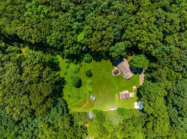 69291 Brush Trl, Niles, MI 49120 - drone / aerial view