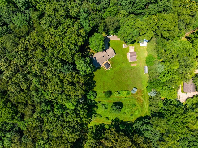 69291 Brush Trl, Niles, MI 49120 - bird's eye view