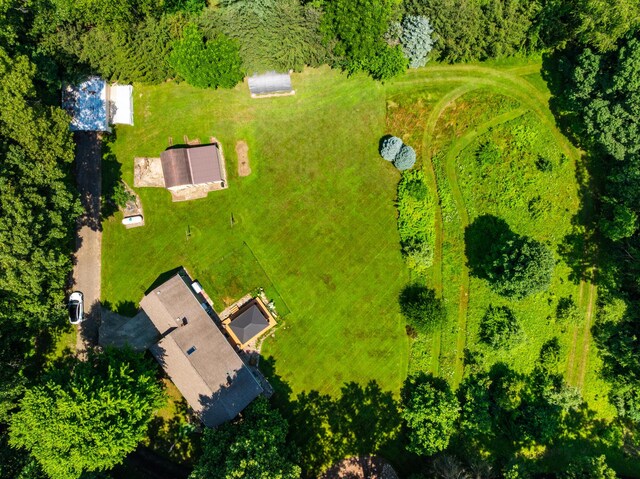 69291 Brush Trl, Niles, MI 49120 - aerial view
