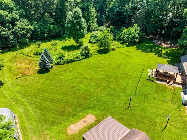 69291 Brush Trl, Niles, MI 49120 - aerial view