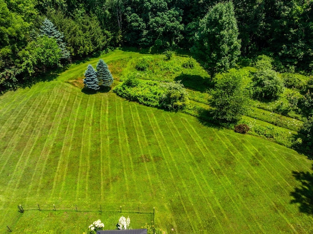 69291 Brush Trl, Niles, MI 49120 - drone / aerial view