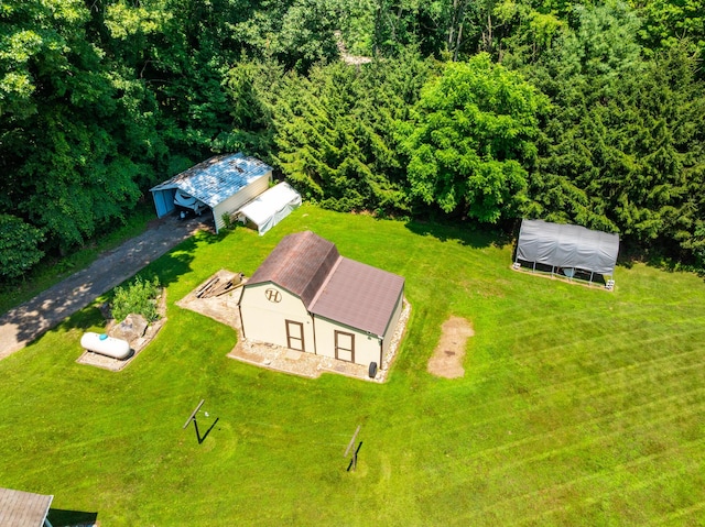 69291 Brush Trl, Niles, MI 49120 - view from above of property