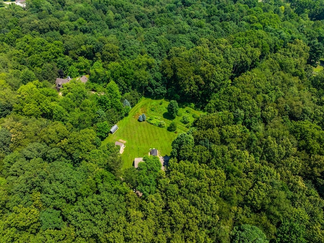 69291 Brush Trl, Niles, MI 49120 - aerial view of a forest