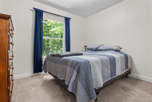69291 Brush Trl, Niles, MI 49120 - carpeted bedroom featuring baseboards