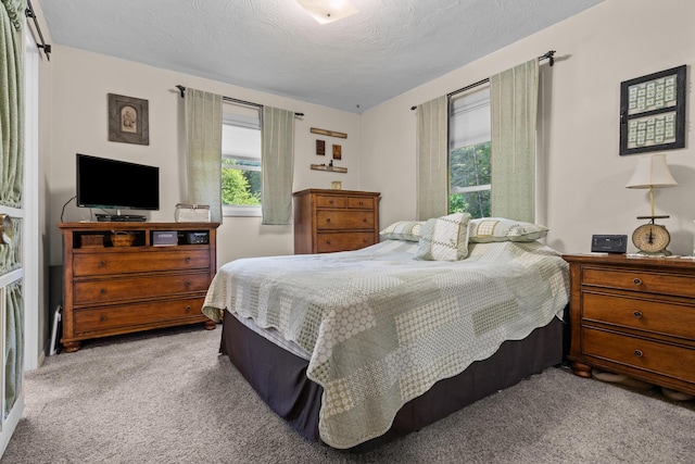 69291 Brush Trl, Niles, MI 49120 - view of carpeted bedroom