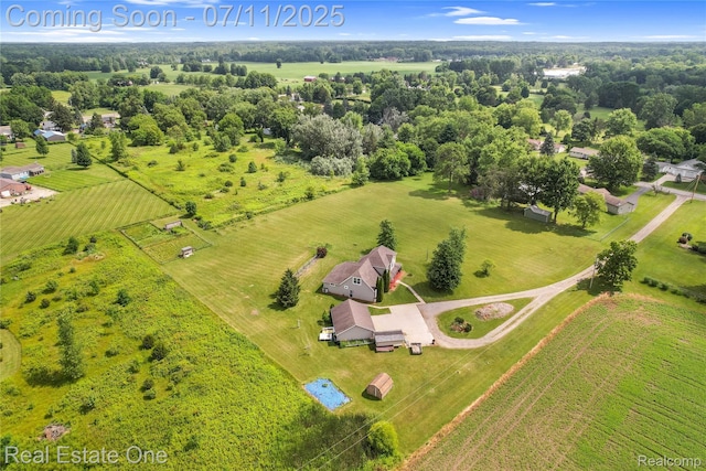 11405 Berkshire Dr, Clio, MI 48420 - photo 46