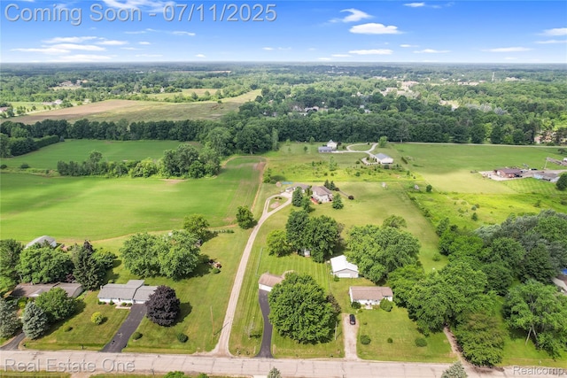 11405 Berkshire Dr, Clio, MI 48420 - photo 44