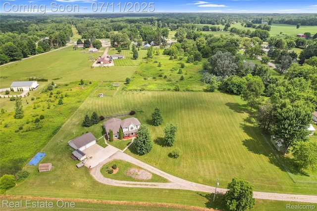 11405 Berkshire Dr, Clio, MI 48420 - photo 47