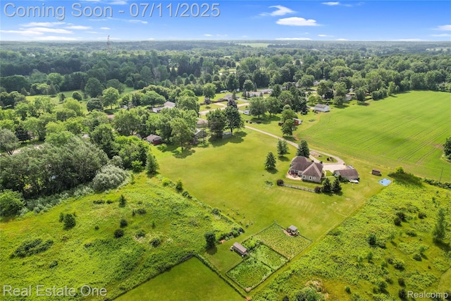 11405 Berkshire Dr, Clio, MI 48420 - photo 49