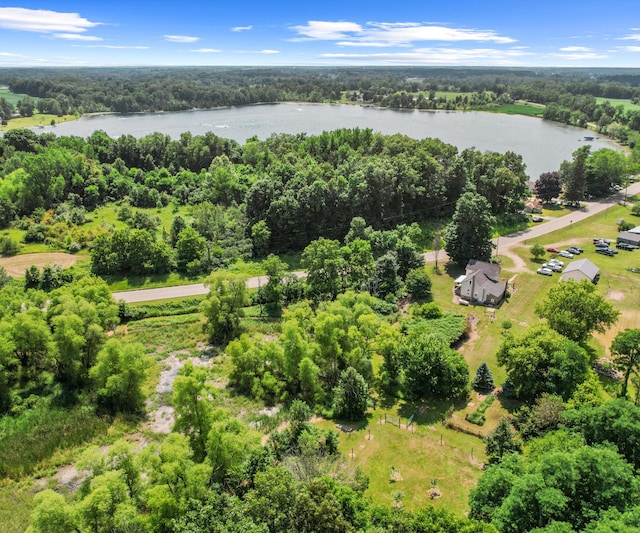 278 E Southern Rd, Coldwater, MI 49036 - aerial view of a large body of water and a forest