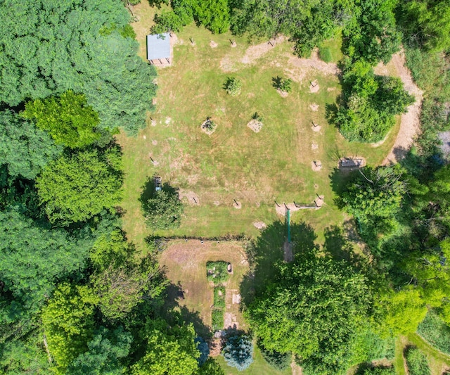 278 E Southern Rd, Coldwater, MI 49036 - drone / aerial view