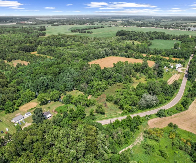278 E Southern Rd, Coldwater, MI 49036 - aerial overview of property's location
