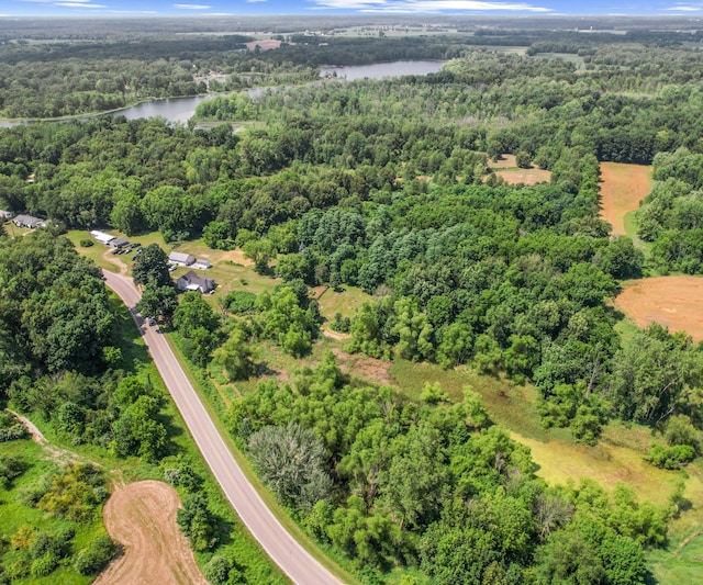 278 E Southern Rd, Coldwater, MI 49036 - bird's eye view of a nearby body of water and a forest