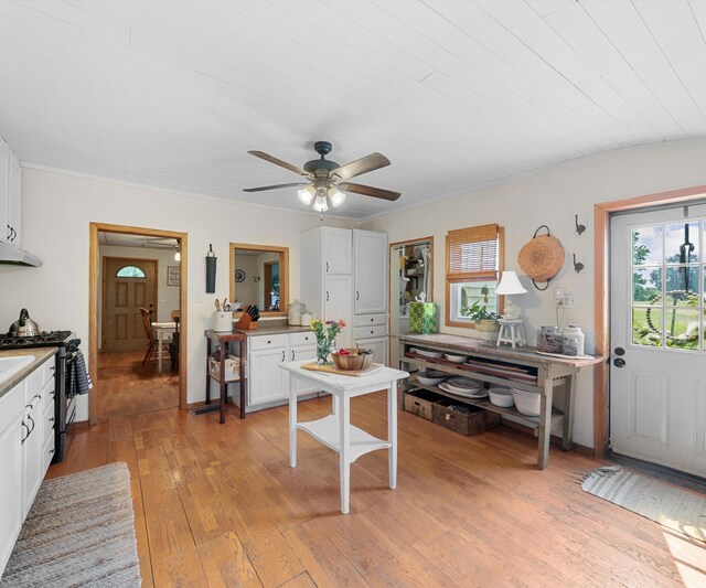 278 E Southern Rd, Coldwater, MI 49036 - dining room with plenty of natural light, light wood-style flooring, and a ceiling fan