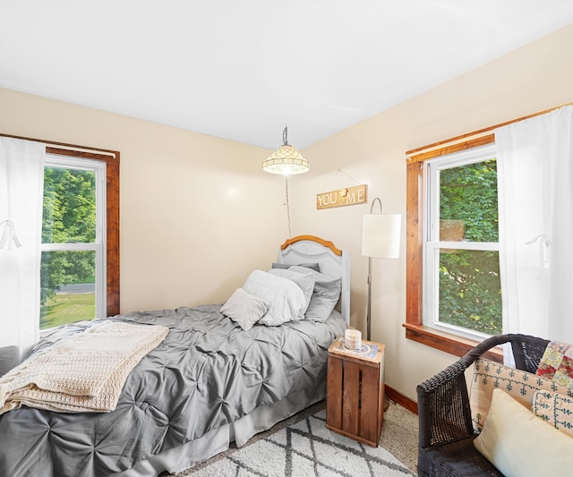 278 E Southern Rd, Coldwater, MI 49036 - bedroom with multiple windows and carpet flooring