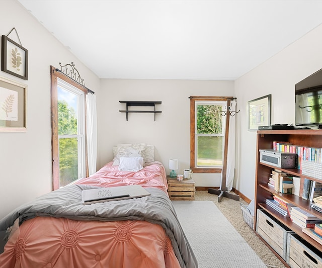 278 E Southern Rd, Coldwater, MI 49036 - bedroom featuring multiple windows and carpet flooring