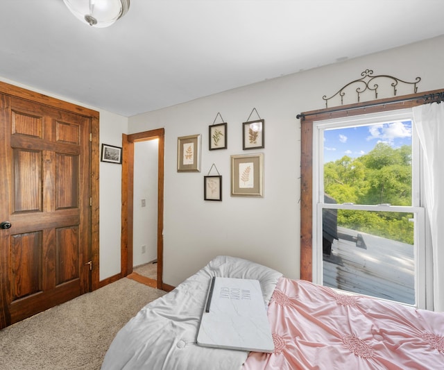 278 E Southern Rd, Coldwater, MI 49036 - view of carpeted bedroom