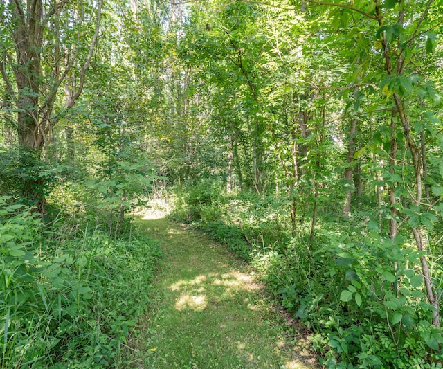 278 E Southern Rd, Coldwater, MI 49036 - view of wooded area