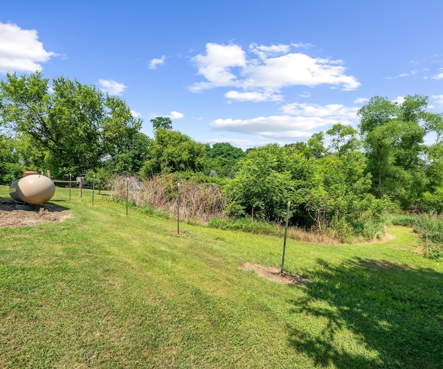 278 E Southern Rd, Coldwater, MI 49036 - view of grassy yard