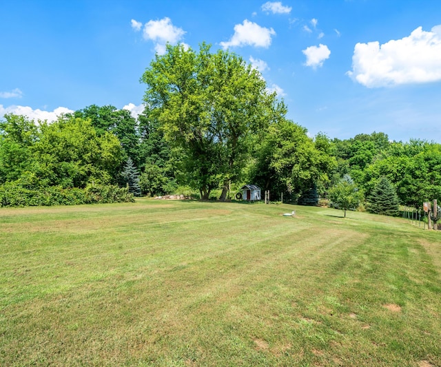 278 E Southern Rd, Coldwater, MI 49036 - view of green lawn featuring a shed