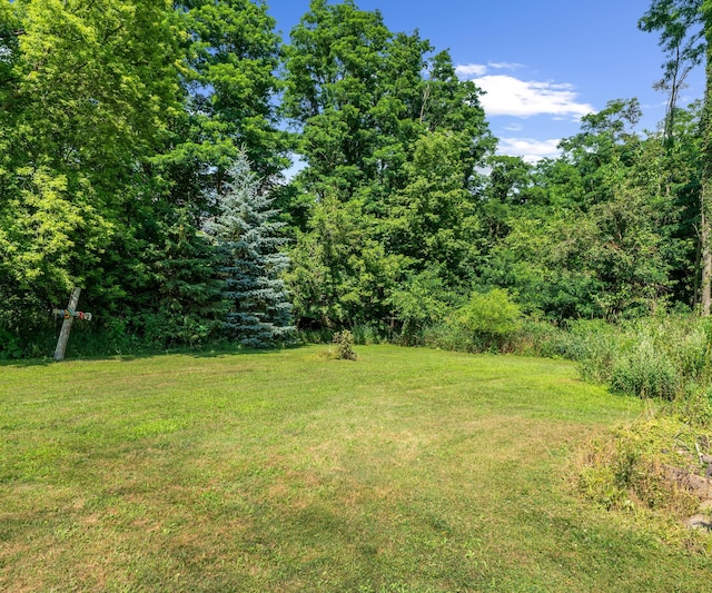 278 E Southern Rd, Coldwater, MI 49036 - view of green lawn with a forest view