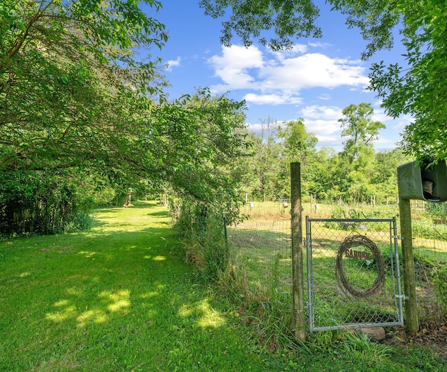 278 E Southern Rd, Coldwater, MI 49036 - view of yard featuring a gate