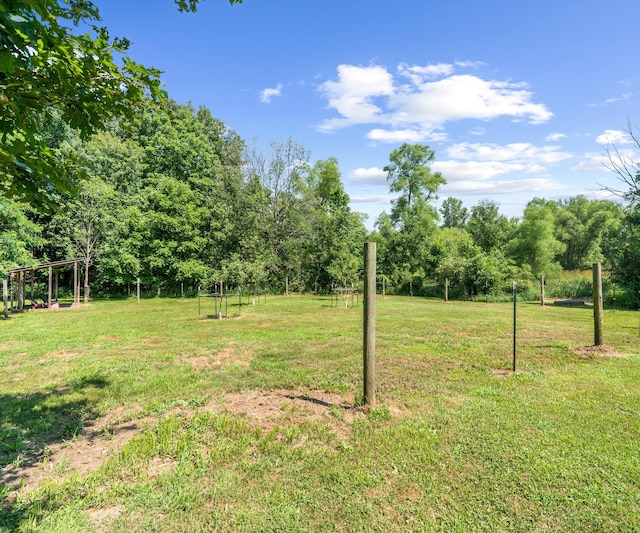 278 E Southern Rd, Coldwater, MI 49036 - view of grassy yard