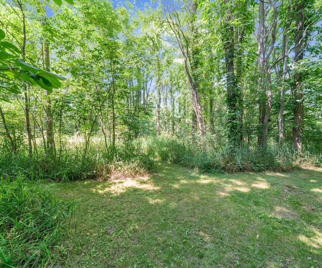 278 E Southern Rd, Coldwater, MI 49036 - view of grassy yard featuring a forest view